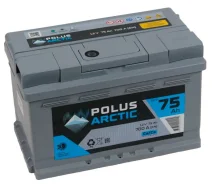 Polus Arctic