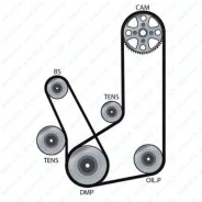 P����� ��� (TS) Dayco 94981 94981 ����