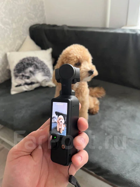 DJI Osmo Pocket 3. ��� ��������� ����