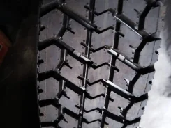 TyRex �-2. �����������, ����� ����