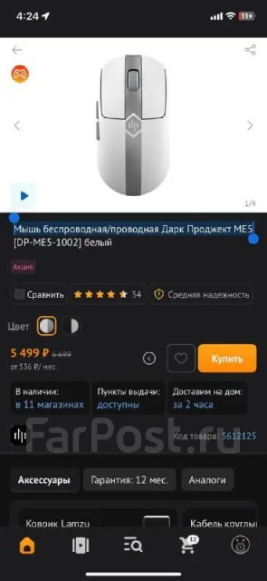 ���� �������. ����