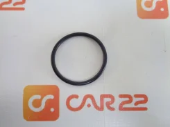 ������ �������������� MN176208 ����