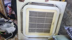 Deer. 70��&sup2; ����