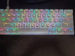 ����������. ����