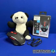 ���� ������� ������������. ����