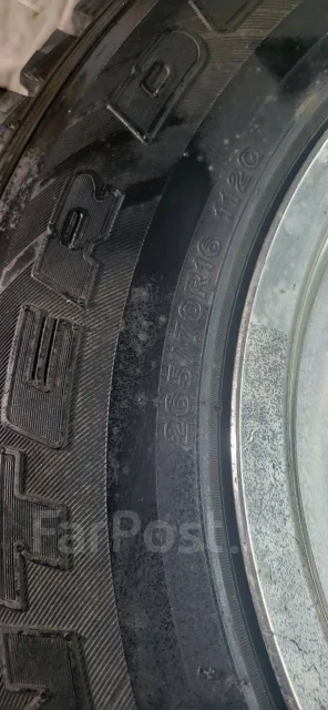 Bridgestone Winter Dueler DM-Z2. ������, ��� �����, �/�, ����� �� 5 %. ���������� (������) ����