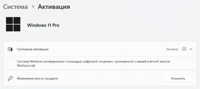 Microsoft Windows 11. ����