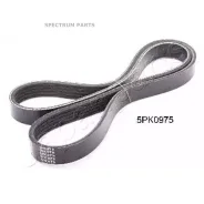 ������ ������������ DV5PK0975 DV5PK0975 ����