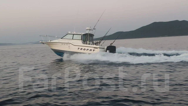 Bayliner. ����� 8��., ��������� ���������, 250��.�., ������ ����
