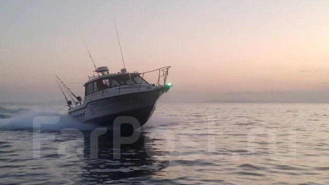 Bayliner. ����� 8��., ��������� ���������, 250��.�., ������ ����