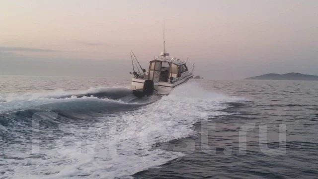 Bayliner. ����� 8��., ��������� ���������, 250��.�., ������ ����
