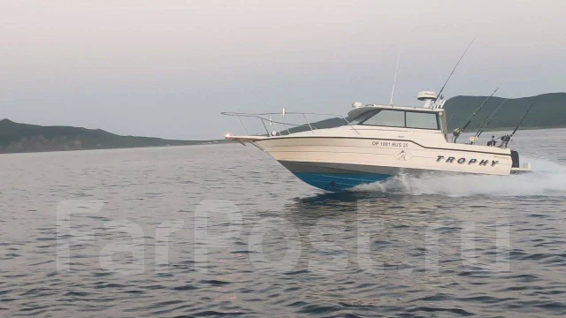Bayliner. ����� 8��., ��������� ���������, 250��.�., ������ ����