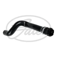 ����� ����. ���. Gates 021720 021720 ����
