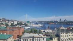        . 46..,   11, - , 8/11 .    