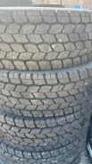 Austone. ������, 2024 ���, ����� ����