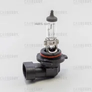 ����� HB4 12V (51W) DayNight Carberry 31CA2 31CA2 ����