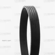 ������ ������������ Carberry Carberry 5PK491 5PK491 ����