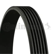 ������ ������������ Contitech Continental 6PK1555 6PK1555 ����
