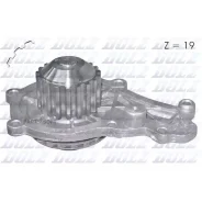 ���� � ������������ ����� �������� ���������� DOLZ C129 C129 ����