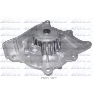 ����� ������� DOLZ C145 C145 ����