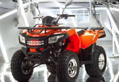 Motoland Max 200. ��������, ��� ���\���, ��� �������. ��� ����� �� ������������ ����