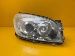 ���� ������ Toyota Rav 4 (2005-2008) �������� 8113042310 ����
