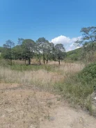������ ��������� ������� ��������. 17.7����., �������������� �������� �������������, ������, �������������. ���� ������� ����