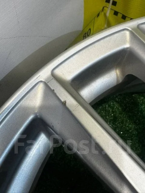 Grass