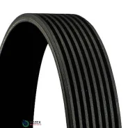 ������ ������������ Contitech Continental 8PK1755 8PK1755 ����