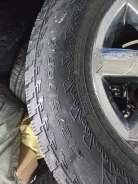 Nokian. ������, ����������, 2023 ���, �/�, ����� 5 % ����