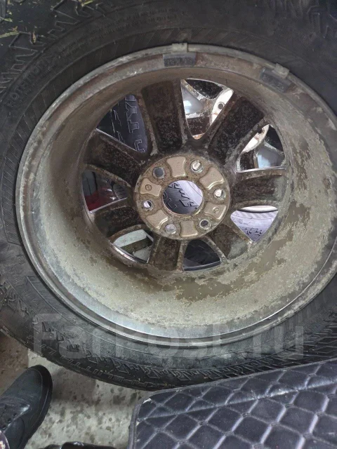 Nokian. ������, ����������, 2023 ���, �/�, ����� 5 % ����
