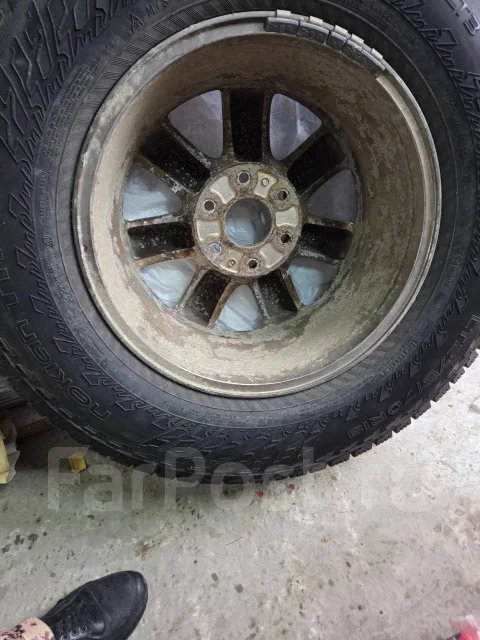 Nokian. ������, ����������, 2023 ���, �/�, ����� 5 % ����