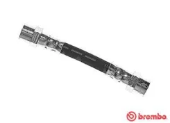����� ��������� | ����� ��� | Brembo T06033 T06033 ����