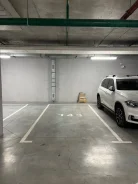 ����� �����������. ����