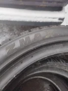 ZMax Winternova Stud II. ������, ����������, 2025 ���, ����� ����