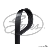 ������ ���������� Gates 8PK2485 8PK2485 ����