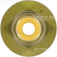 �������� ����������. Iveco Victor Reinz 704033600 704033600 ����