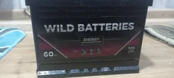 Wild Batteries. 60��.�., L2, 570��., ������ ����