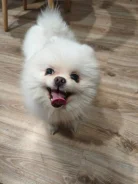 ����. ����