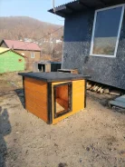 �����. ��� ����� �� ������ ����