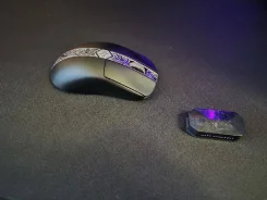 ���� ������������. ����