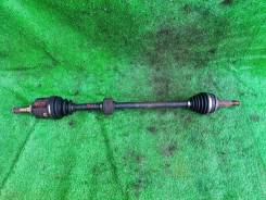4121 ������ �������� ������ Toyota Wish 43410-12670 ����