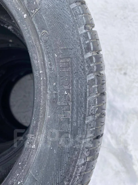Pirelli P5000 Drago. ������, �/�, ����� 5 % ����