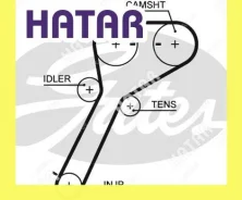 ������ ��� Gates 5651XS 5651XS ����
