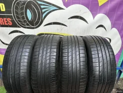 Goodyear EfficientGrip Performance