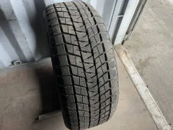 Bridgestone Blizzak DM-V1