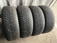 Firestone Winterhawk