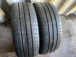 Goodyear EfficientGrip Performance
