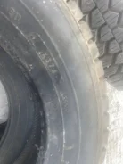Dunlop Performa 2000. ������, ��� �����, 2006 ���, �/�, ����� 5 % ����