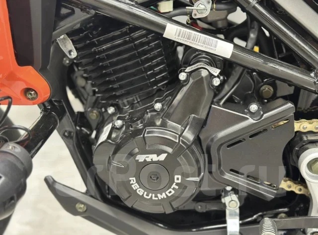 Regulmoto Nibbler. 300����. ��., ��������, ���������, ��� ������� ����